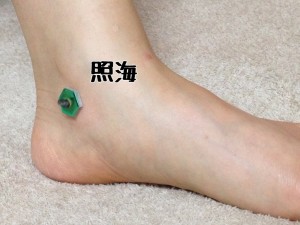 照海