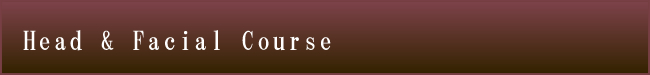 Head & Facial Course